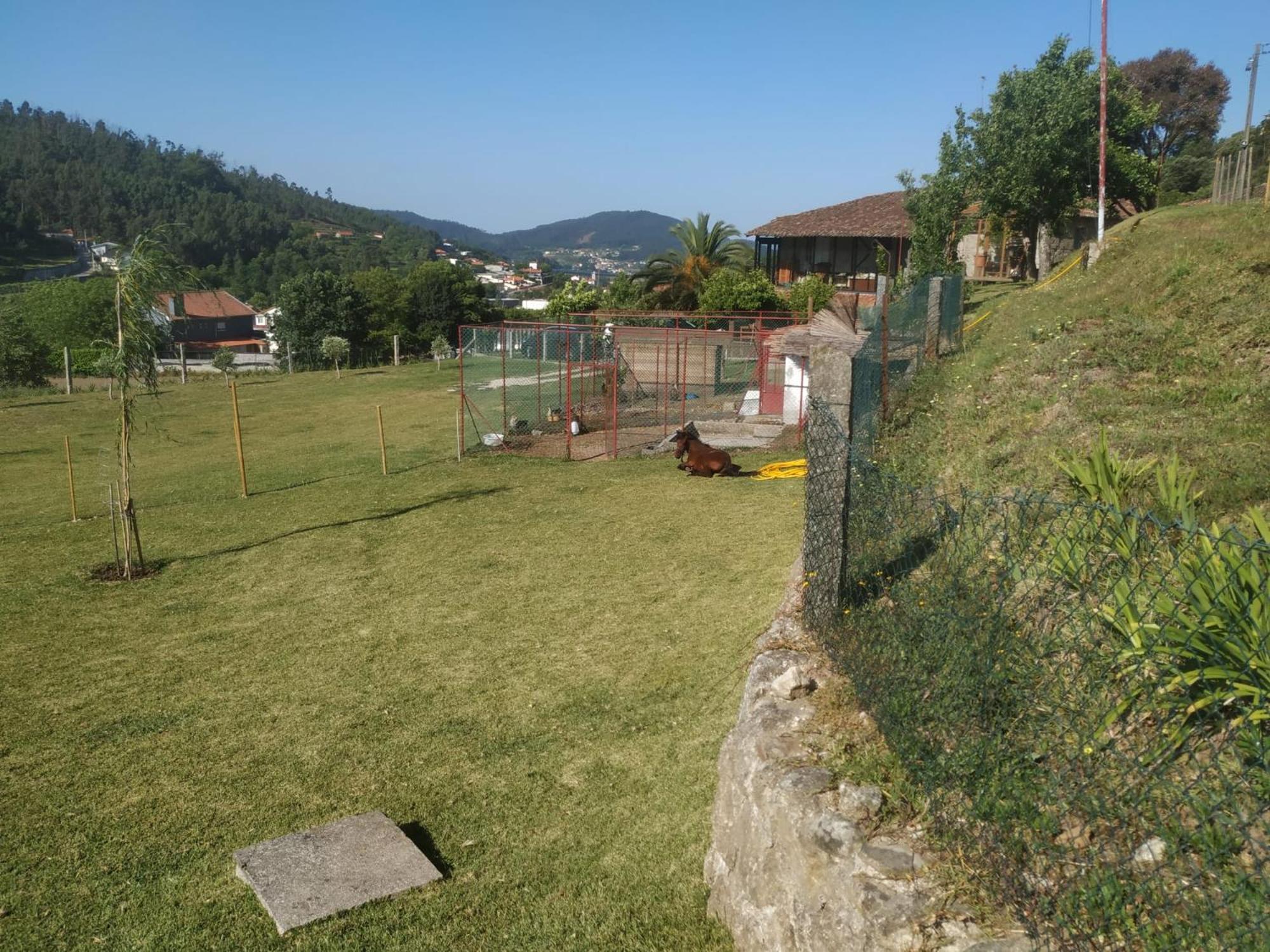 Quinta Dos Campos - Apartamento 1 Braga Eksteriør bilde